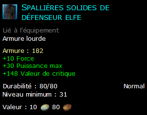 Spallières solides de défenseur elfe