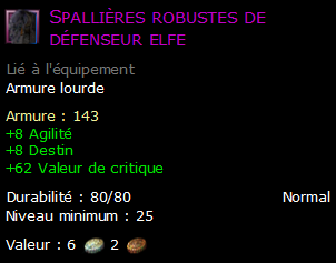 Spallières robustes de défenseur elfe