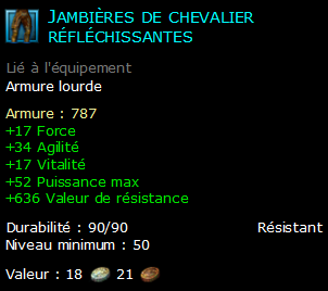 Jambières de chevalier réfléchissantes