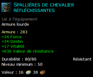 Spallières de chevalier réfléchissantes