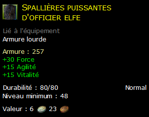 Spallières puissantes d'officier elfe