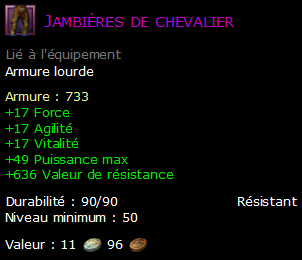 Jambières de chevalier