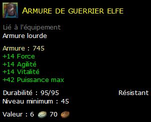 Armure de guerrier elfe