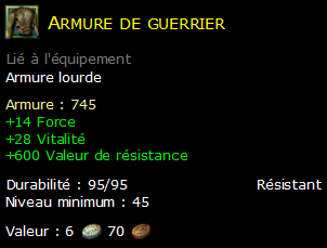 Armure de guerrier