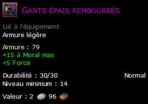 Gants épais rembourrés