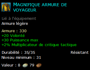 Magnifique armure de voyageur