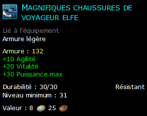 Magnifiques chaussures de voyageur elfe