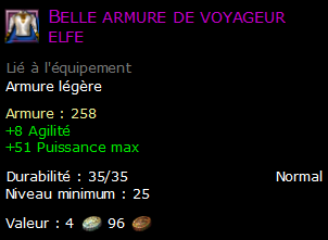 Belle armure de voyageur elfe