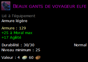 Beaux gants de voyageur elfe