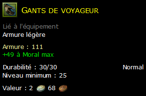 Gants de voyageur