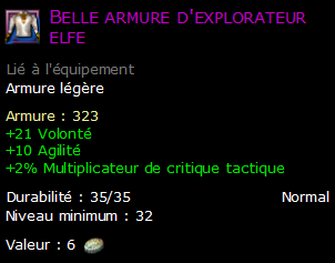 Belle armure d'explorateur elfe