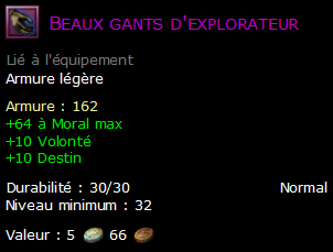 Beaux gants d'explorateur