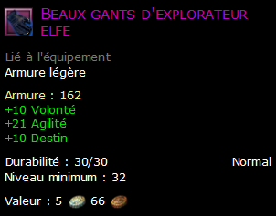 Beaux gants d'explorateur elfe