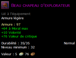 Beau chapeau d'explorateur