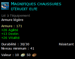 Magnifiques chaussures d'érudit elfe