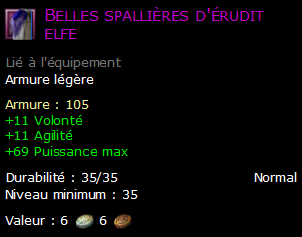 Belles spallières d'érudit elfe