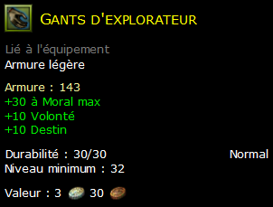 Gants d'explorateur