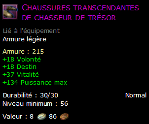 Chaussures transcendantes de chasseur de trésor