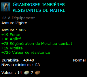 Grandioses jambières résistantes de maître