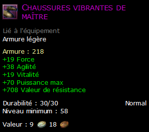 Chaussures vibrantes de maître