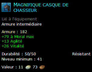 Magnifique casque de chasseur