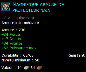 Magnifique armure de protecteur nain