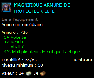 Magnifique armure de protecteur elfe