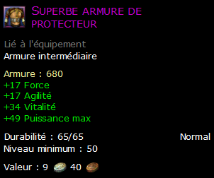 Superbe armure de protecteur