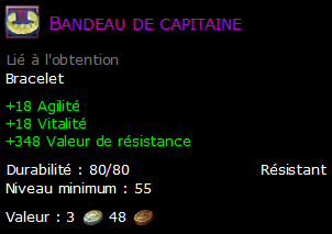 Bandeau de capitaine