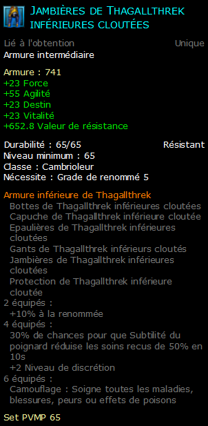 Jambières de Thagallthrek inférieures cloutées