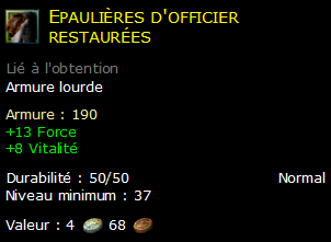 Epaulières d'officier restaurées