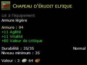 Chapeau d'érudit elfique