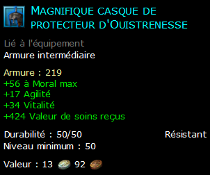 Magnifique casque de protecteur d'Ouistrenesse