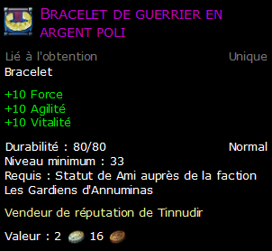 Bracelet de guerrier en argent poli