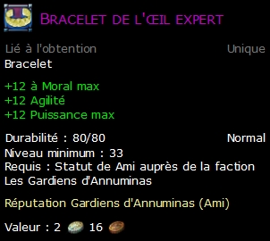 Bracelet de l'œil expert