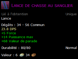 Lance de chasse au sanglier