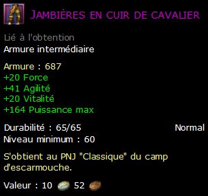 Jambières en cuir de cavalier