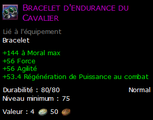 Bracelet d'endurance du Cavalier