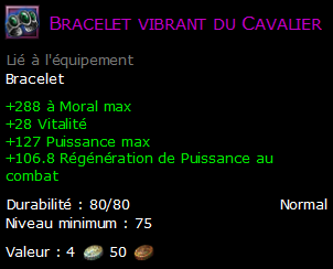 Bracelet vibrant du Cavalier