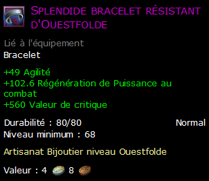 Splendide bracelet résistant d'Ouestfolde