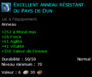 Excellent anneau résistant du Pays de Dun