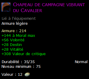 Chapeau de campagne vibrant du Cavalier