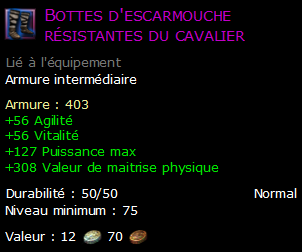 Bottes d'escarmouche résistantes du cavalier