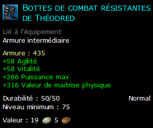 Bottes de combat résistantes de Théodred