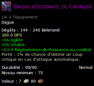 Dague résistante du Cavalier