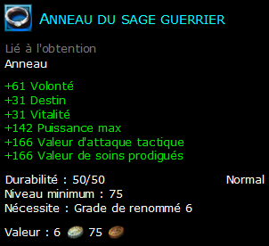 Anneau du sage guerrier