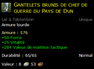 Gantelets brunis de chef de guerre du Pays de Dun