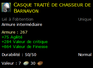 Casque traité de chasseur de Barnavon