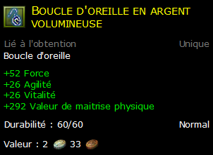 Boucle d'oreille en argent volumineuse