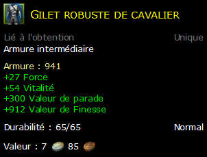 Gilet robuste de cavalier